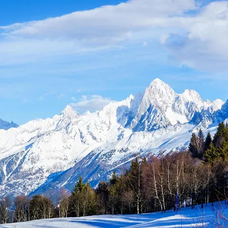 La Savoy 1 - Thermes De Saint-gervais - Happy 아파트 *